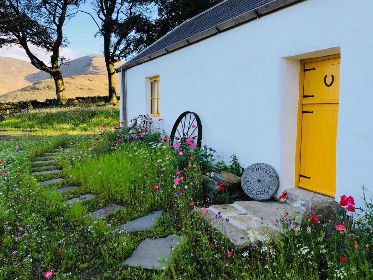 Thistle Thatch Cottage And Hot Tub - Mourne Mountains Newcastle  Exterior photo