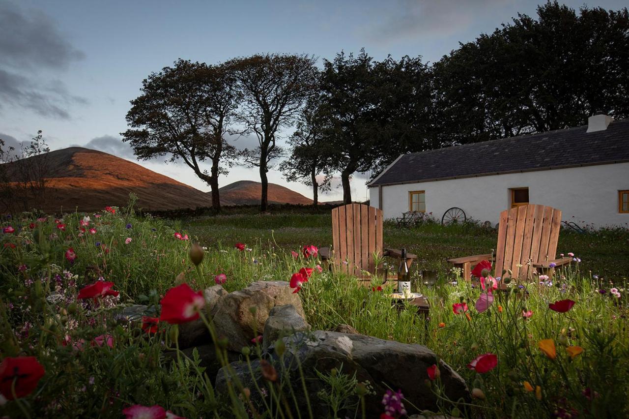 Thistle Thatch Cottage And Hot Tub - Mourne Mountains Newcastle  Exterior photo